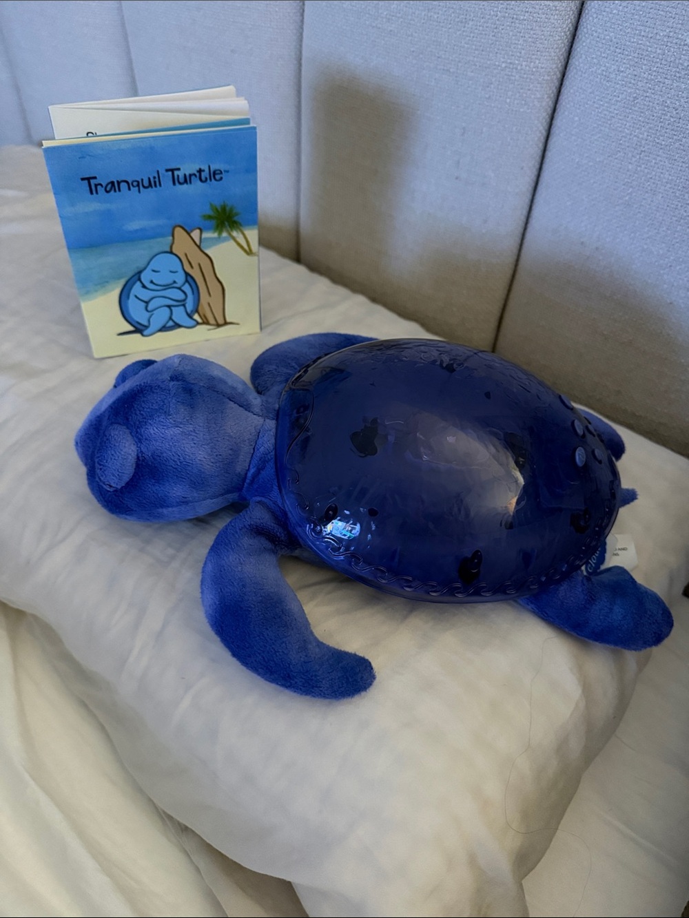 Cloud B Blue Plush Turtle Night Light & Sound machine